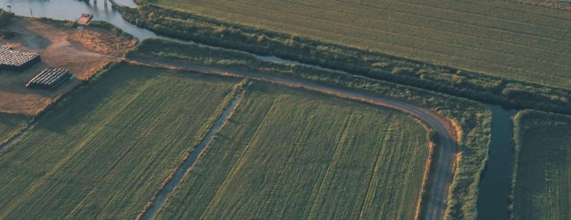 ag fields