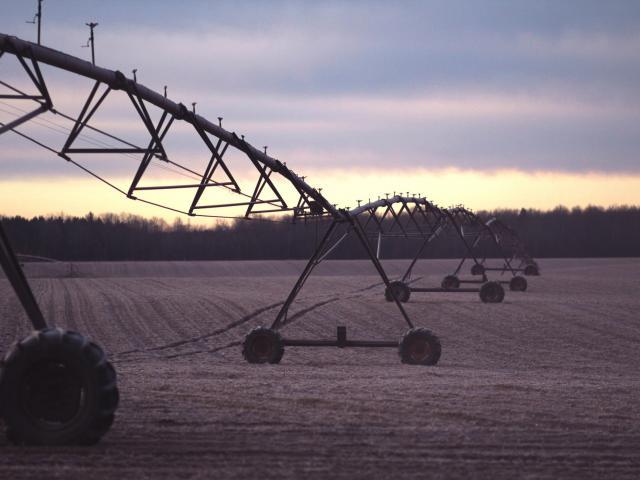 irrigator in field
