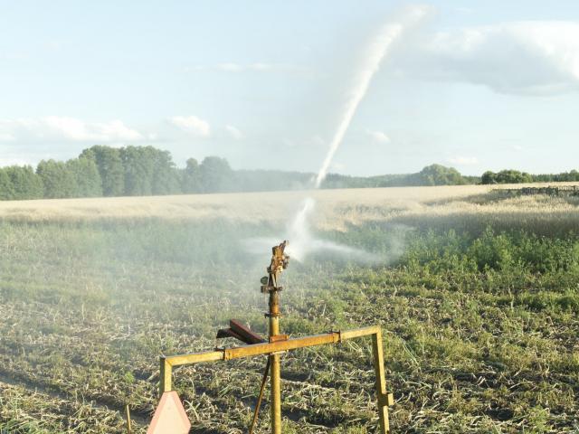 sprinker field pic