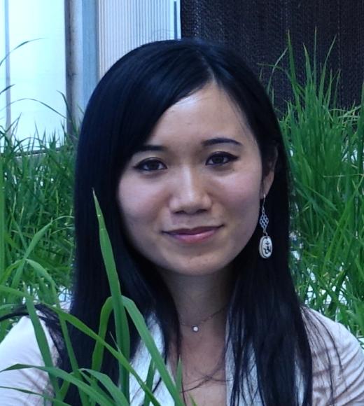 Ai Kitazumi