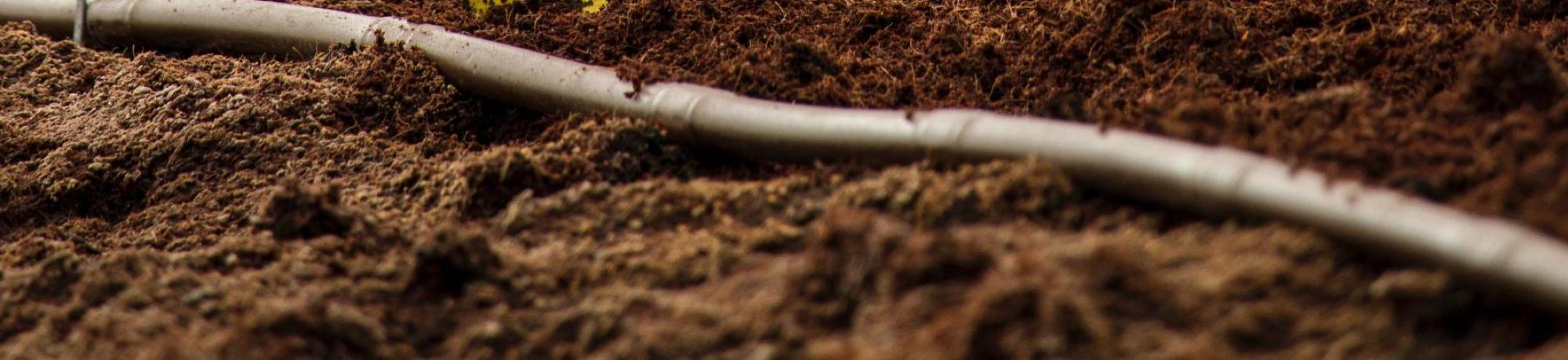 Anaya Katlego unsplash image trowel dirt