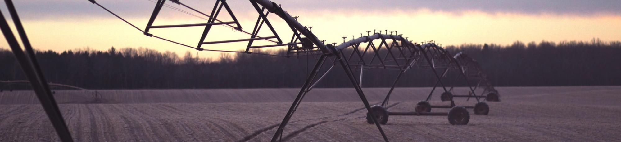 irrigator in field
