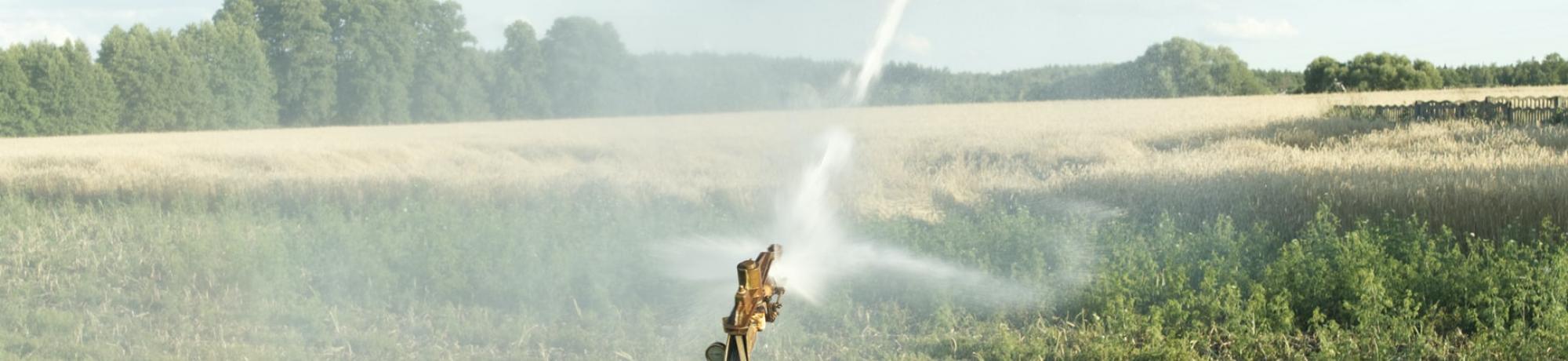 sprinkler in field